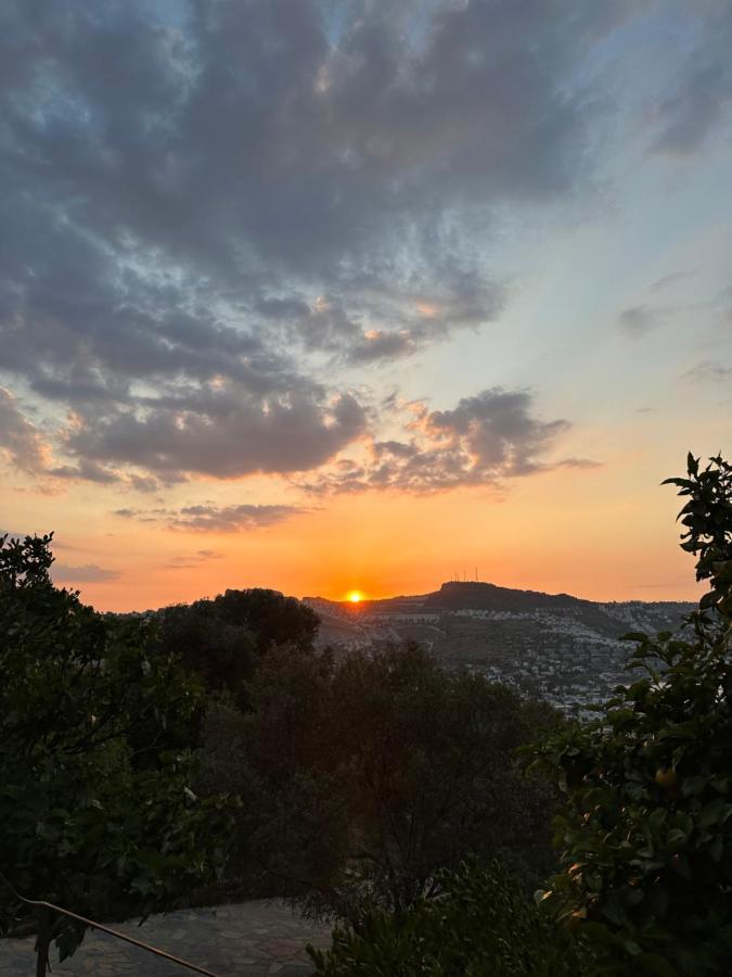 Mandra - Nature Living Bodrum Екстериор снимка